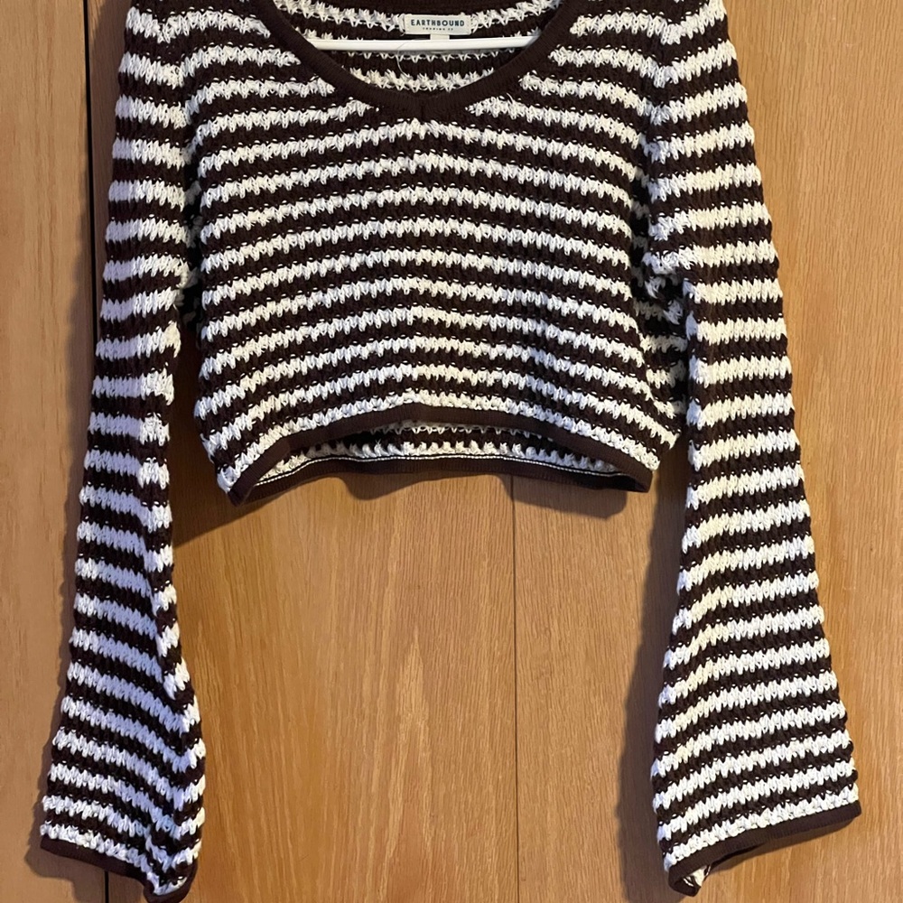 Earthbound brown and White Striped Women's cropped Top
